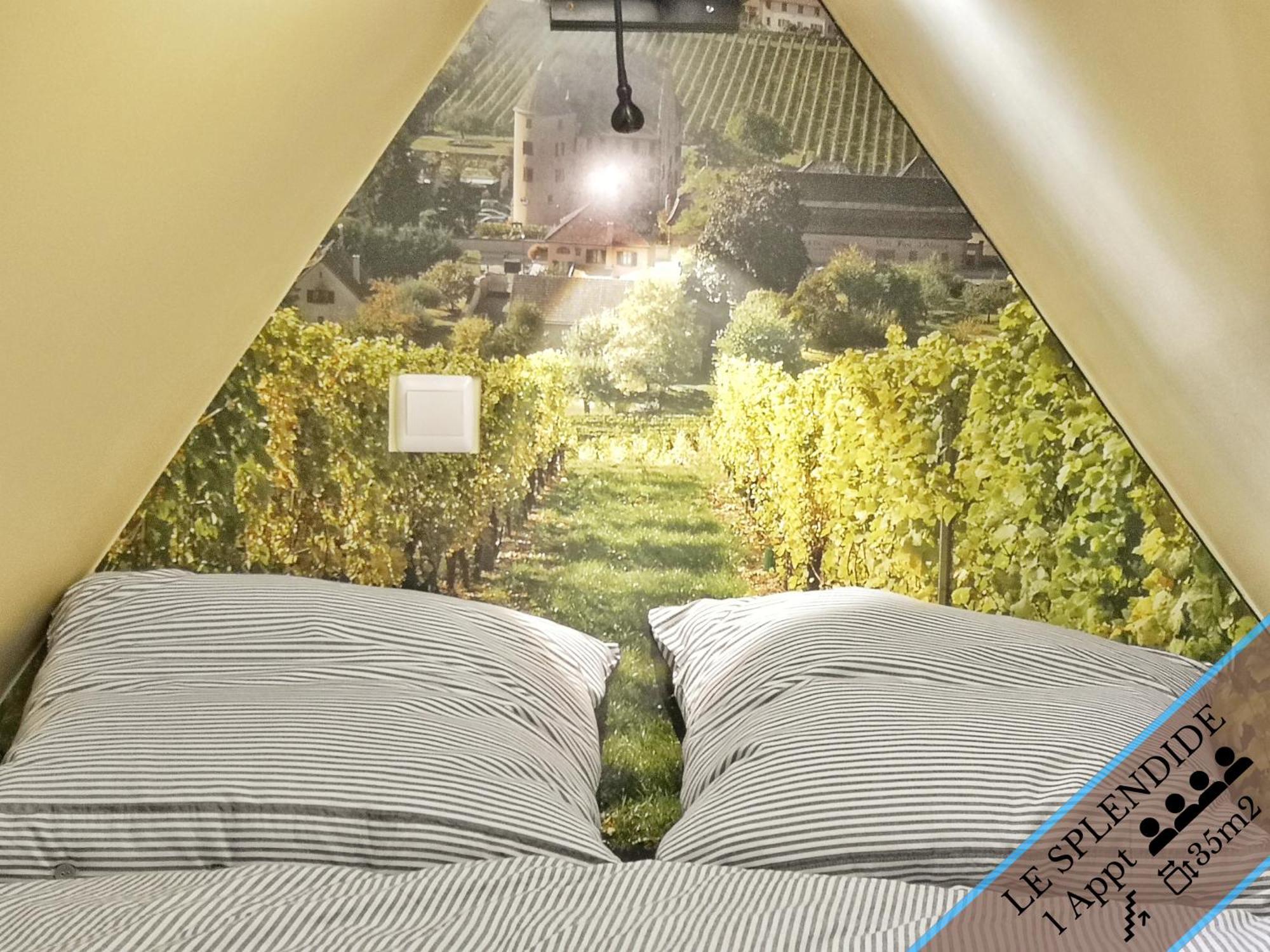 Splendide Appartement Barr - Route du Vins Chambre photo